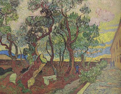 Vincent Van Gogh The Garden of Saint-Paul Hospital (nn04) oil painting image